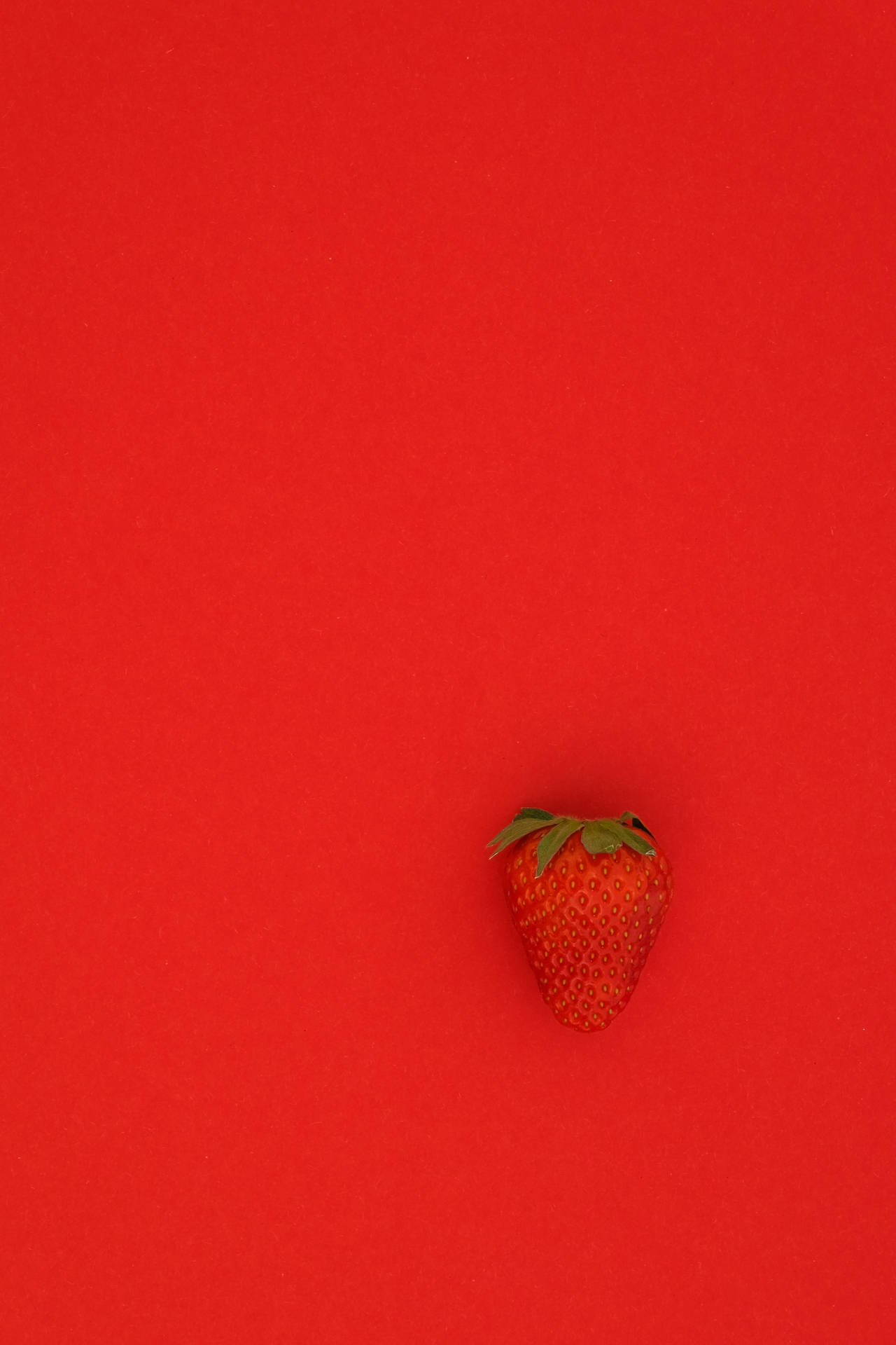 Single Red Strawberry Fruit Background