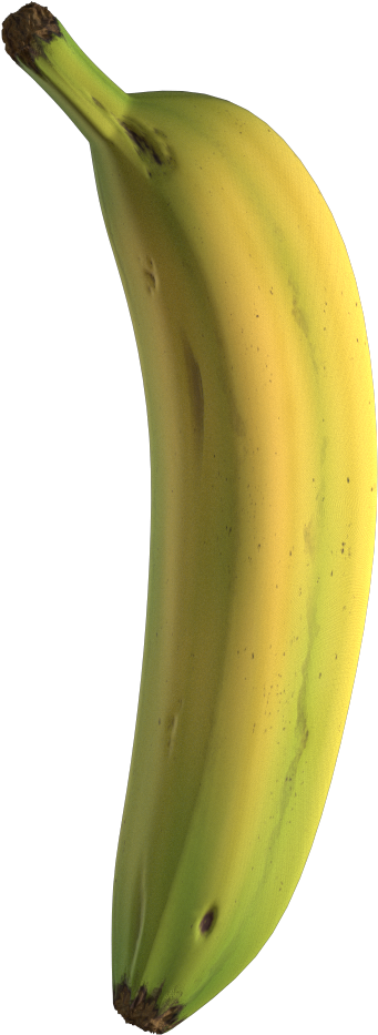 Single Ripe Banana Isolated PNG