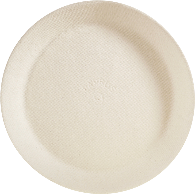 Single Use Paper Plate Top View PNG