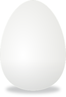 Single White Eggon Black Background.jpg PNG