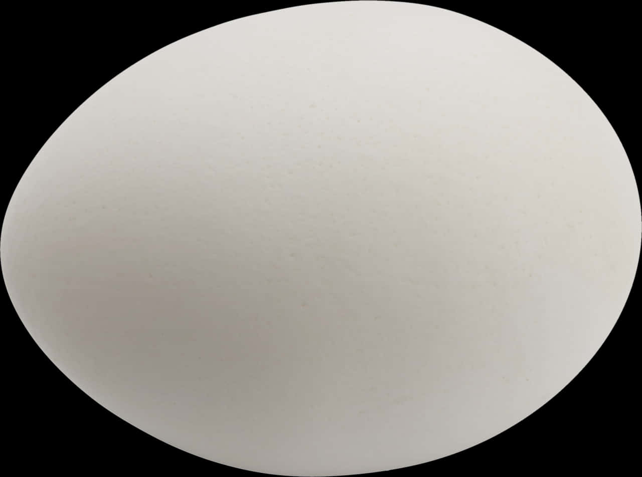 Single White Eggon Black Background.jpg PNG