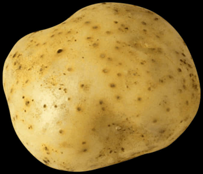 Single Yellow Potato PNG