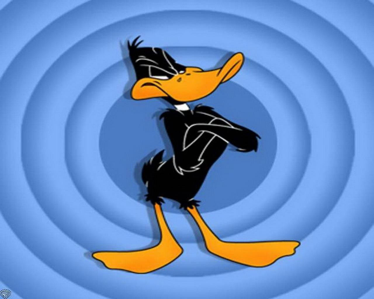 Sinister Look Of Daffy Duck