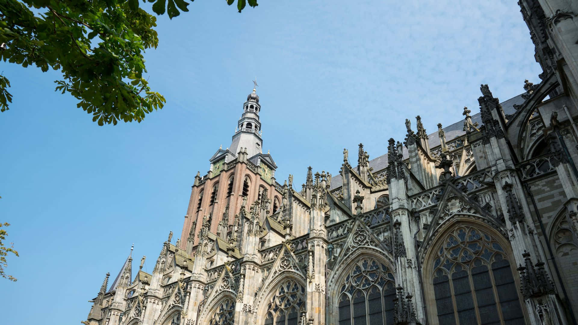 Sint Janskathedraal Den Bosch Arkitektur Bakgrunnsbildet