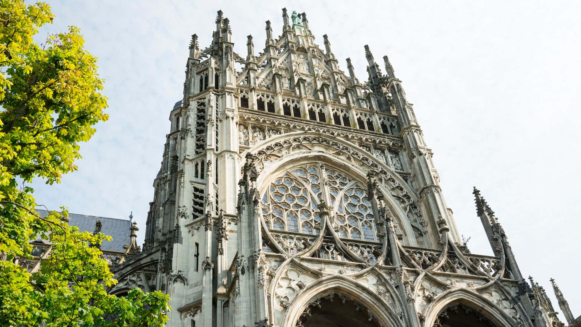 Sint Janskathedraal Den Bosch Gevel Achtergrond