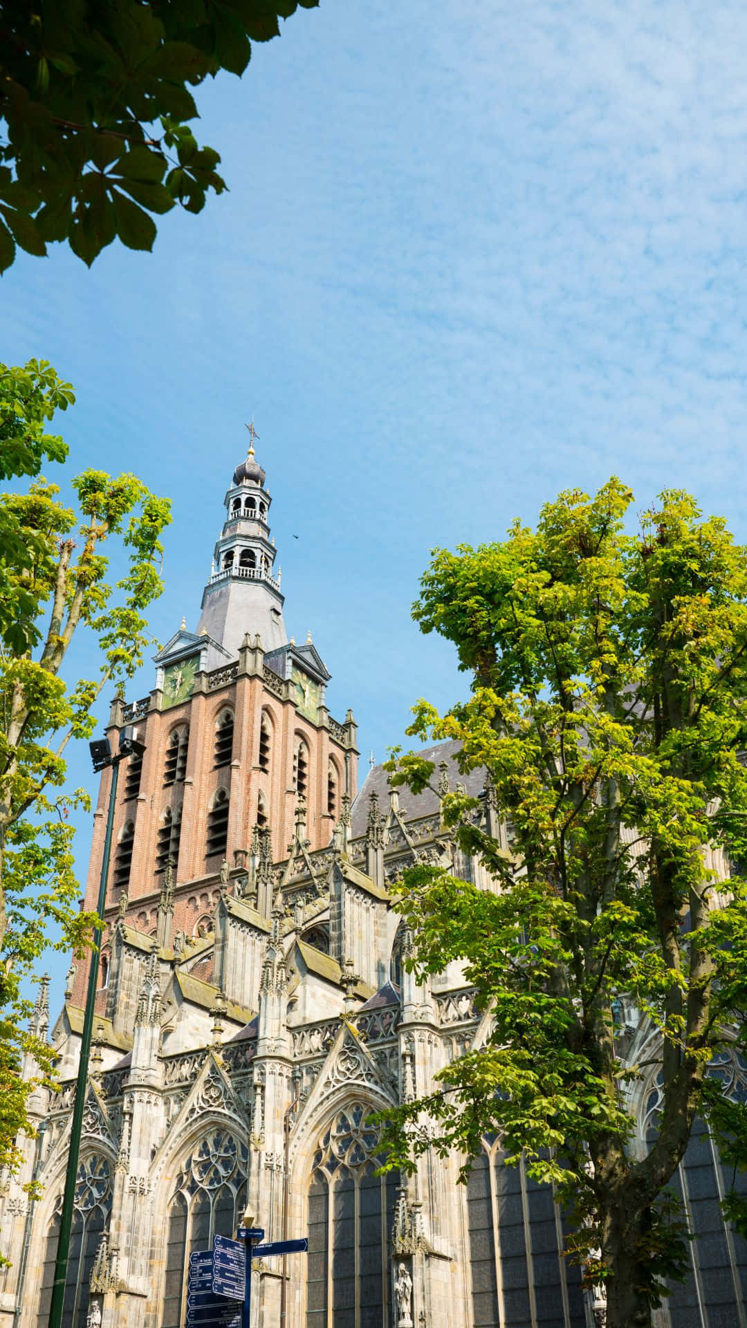 Sint Janskathedraal S Hertogenbosch Tårn Bakgrunnsbildet