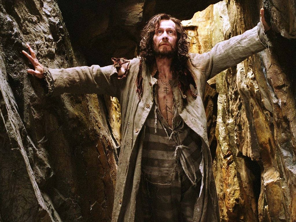 Sirius Black The Whomping Willow Wallpaper