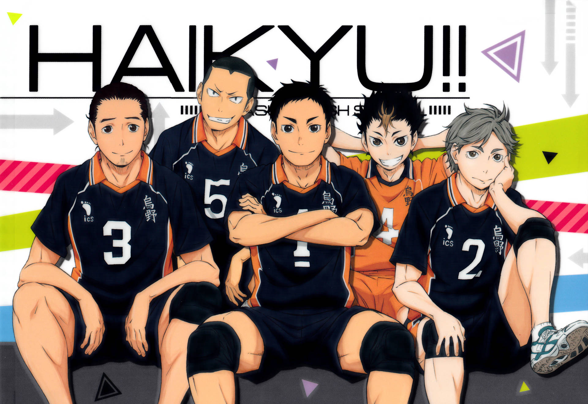 Sitting Karasuno High Haikyuu Teams