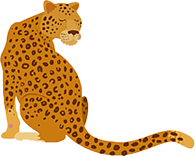 Sitting Leopard Illustration PNG