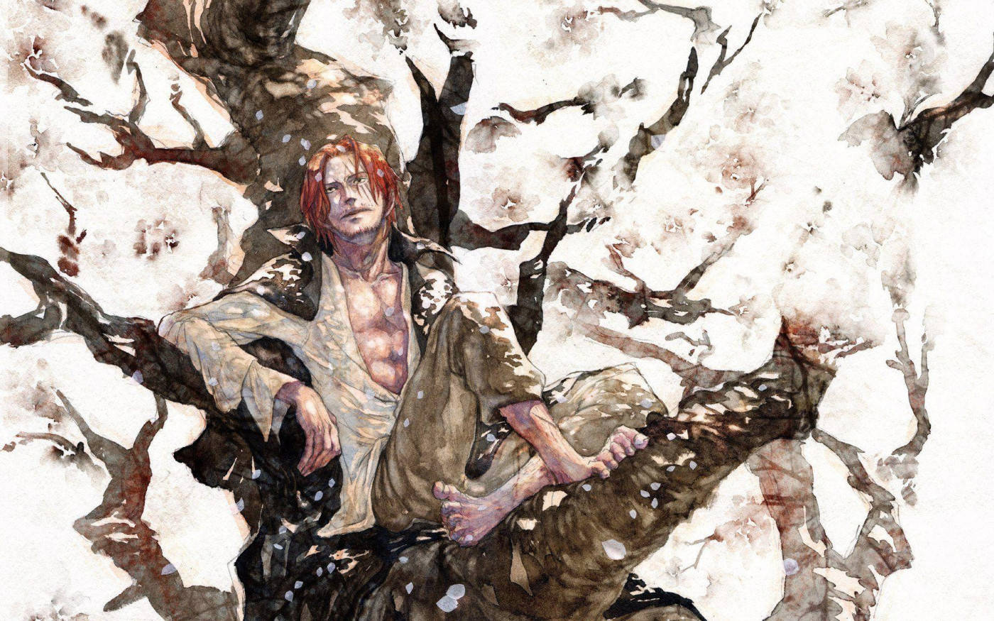 Sitting On A Tree Shanks One Piece Wallpaper