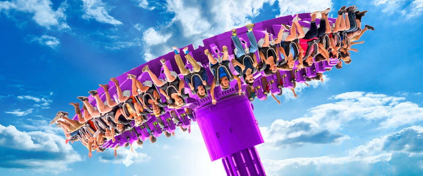 A Group Of People On A Purple Roller Coaster