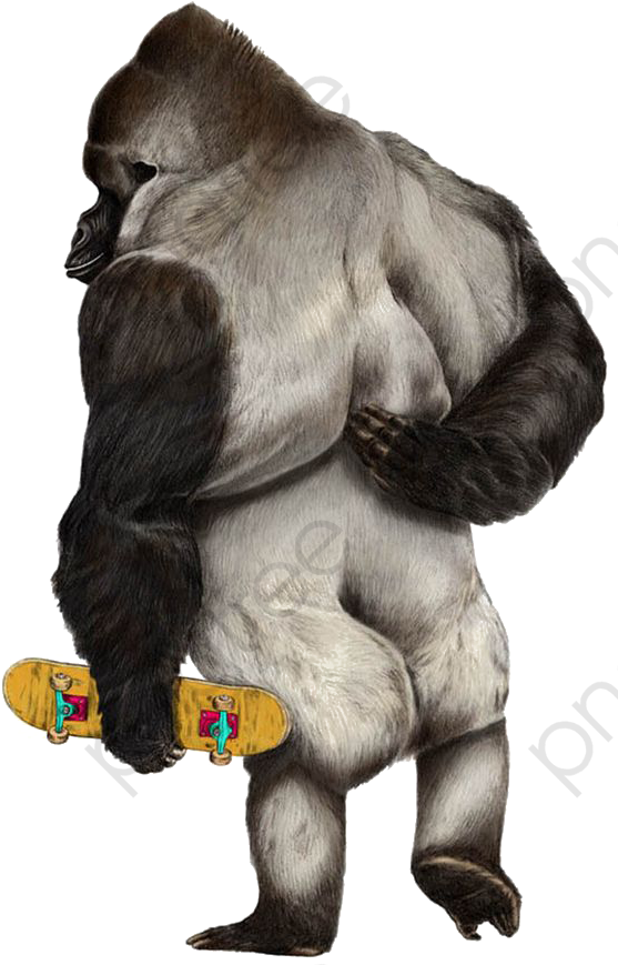 Skateboarding Gorilla Illustration PNG