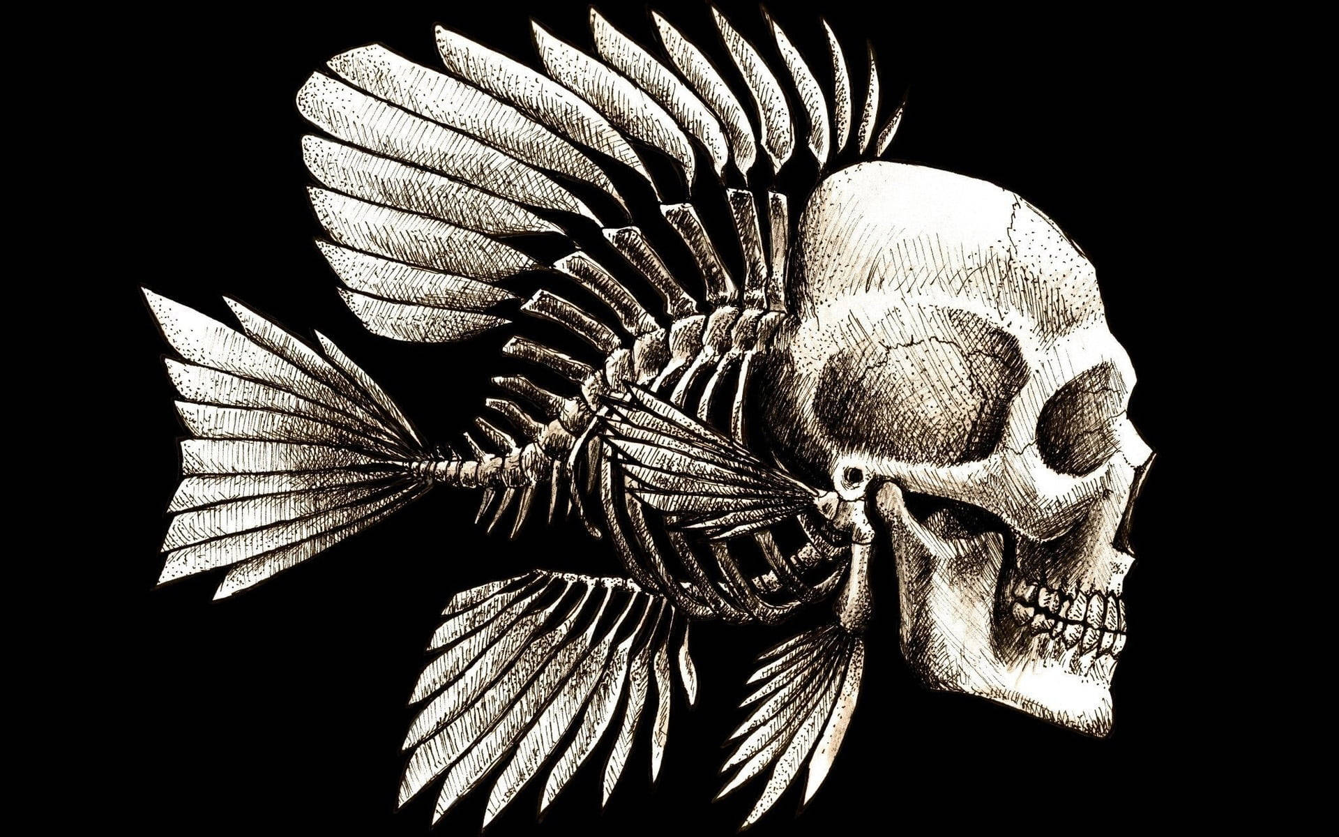Skeleton Aesthetic Fish Bone Solid Black Wallpaper