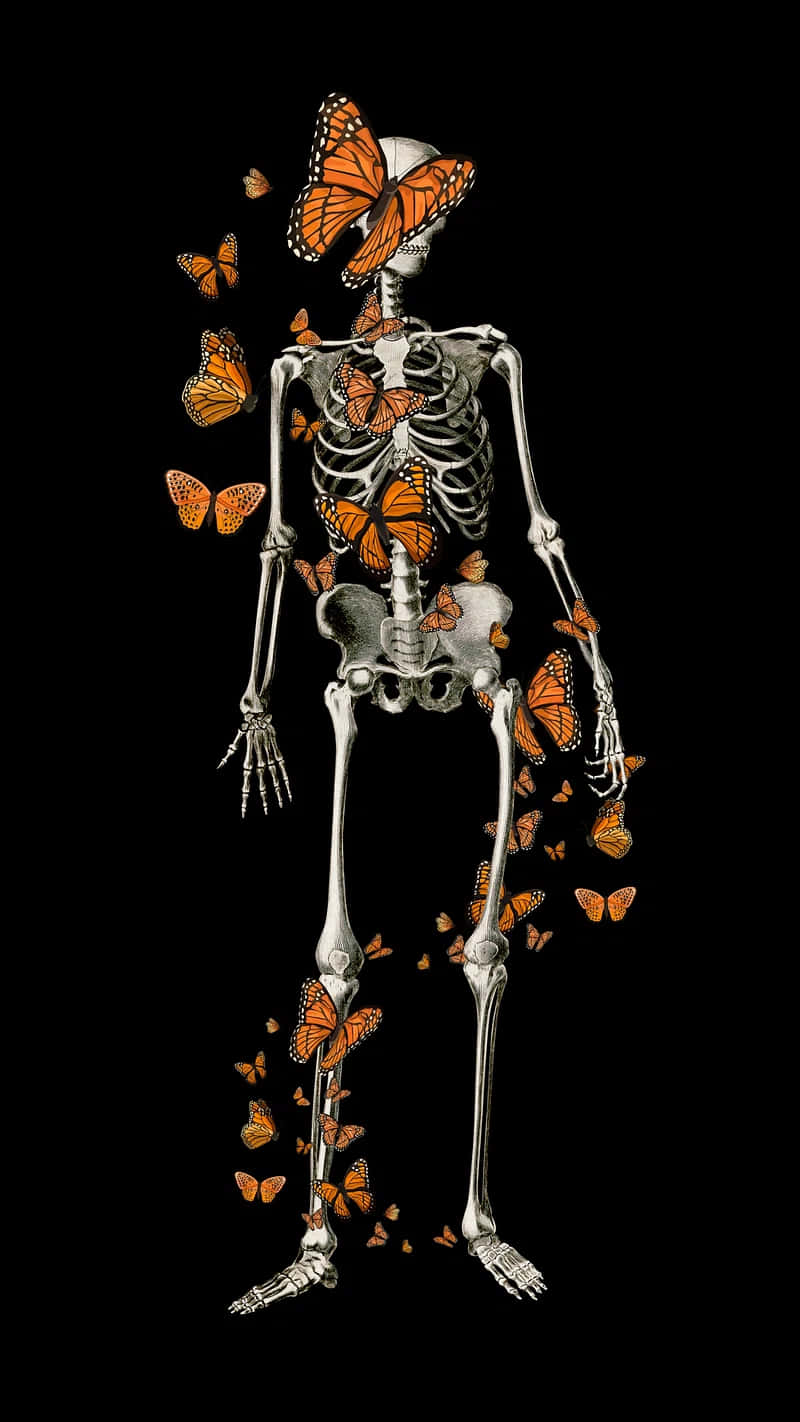 Skeleton Butterfly Fusion Art Wallpaper