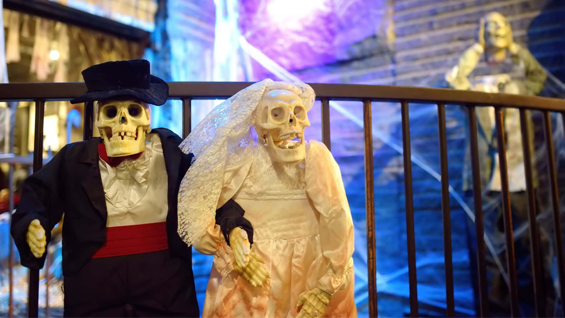 Spooky Skeleton Costumes for Halloween Fun! Wallpaper