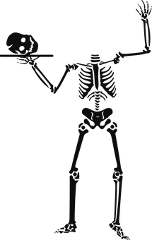 Skeleton Holding Skull PNG