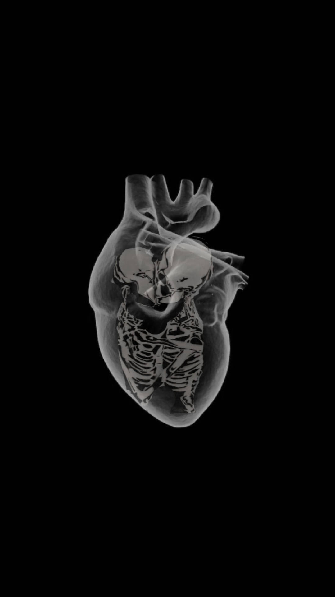 Skeleton Love In Heart Wallpaper