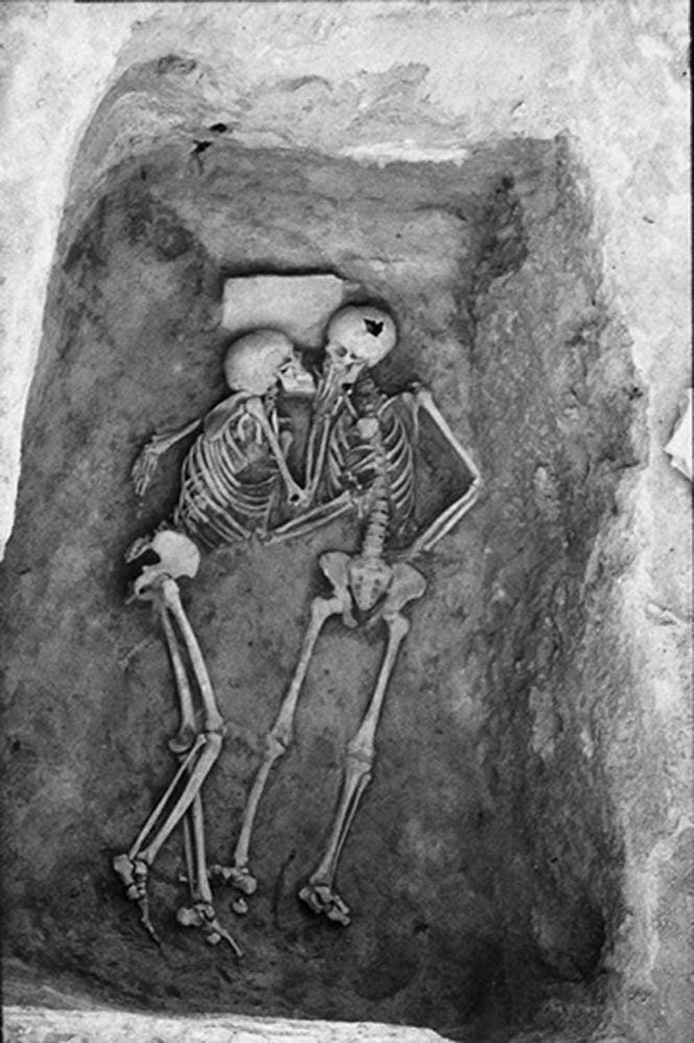Skeleton Love Kissing In The Grave Wallpaper