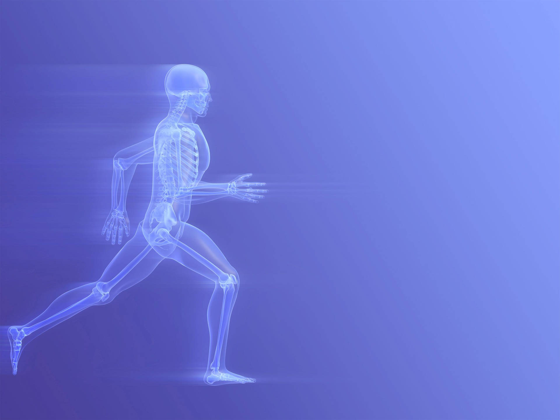 Skeleton Man In Running Therapy Position Wallpaper
