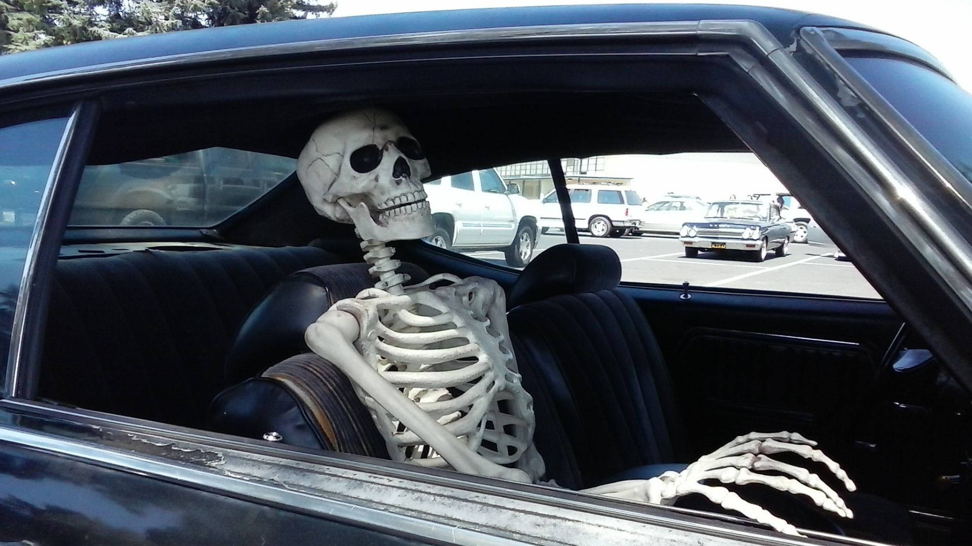 Skeleton Meme In The Car