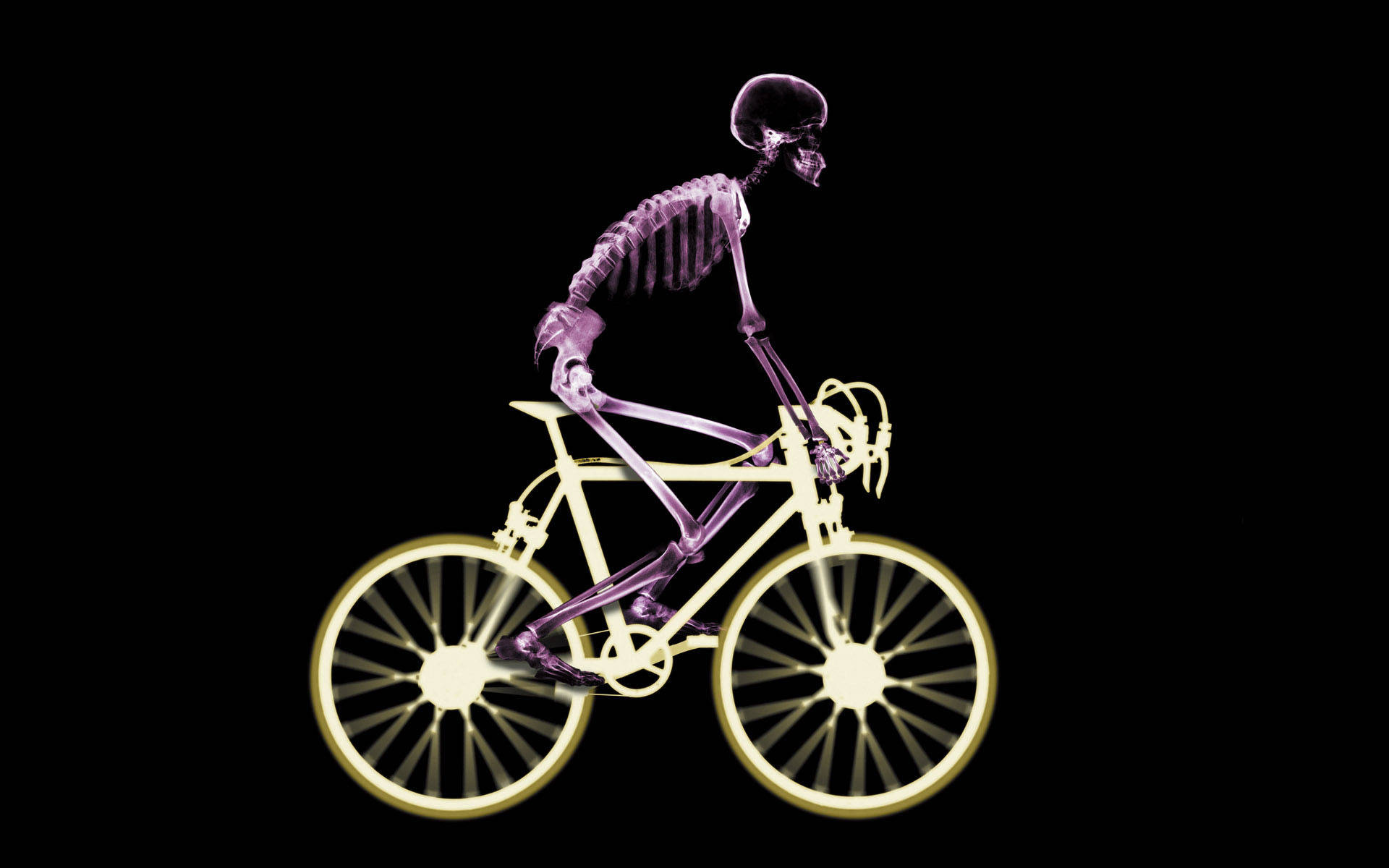 Skeleton On A Bicycle Background