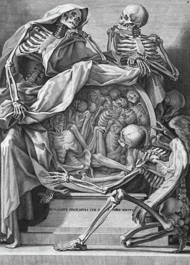 Unafigura De Esqueleto Revelando Los Detalles Anatómicos