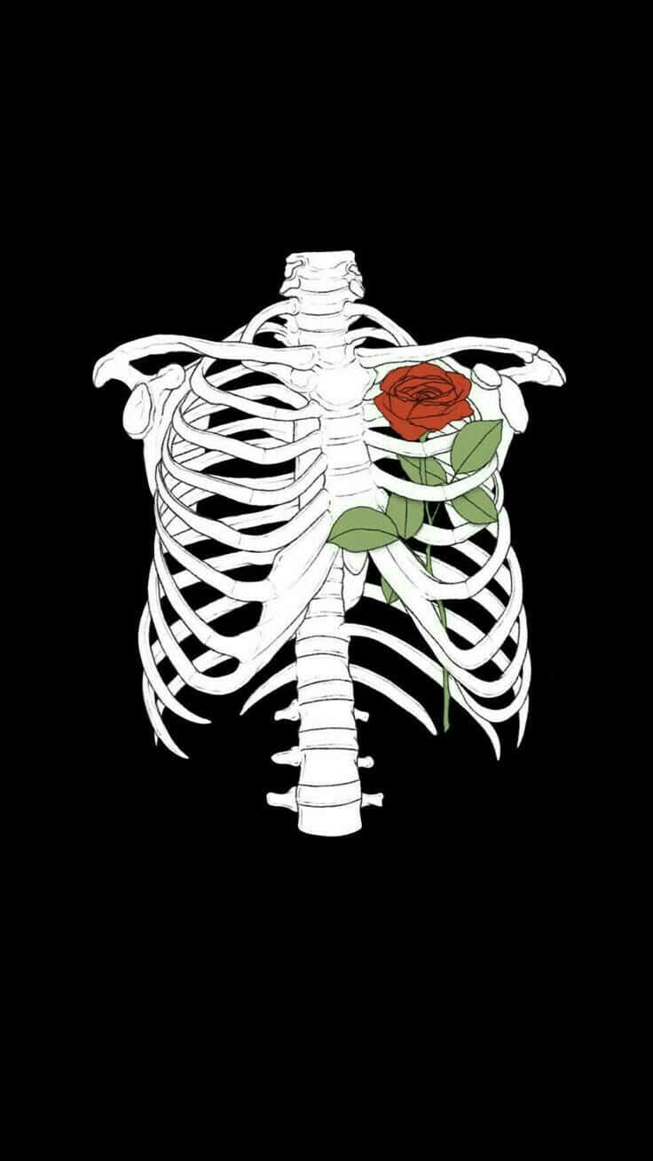 Skeleton Rose Embrace Dark Aesthetic.jpg Wallpaper