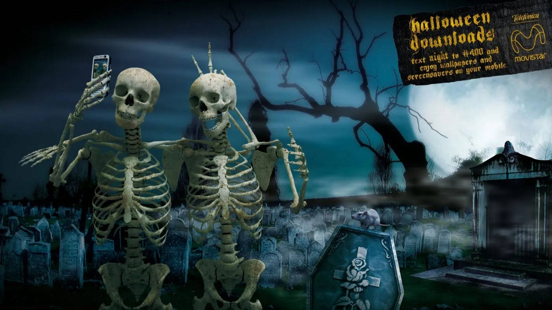 Skeletons Meme Cemetery Selfie Wallpaper