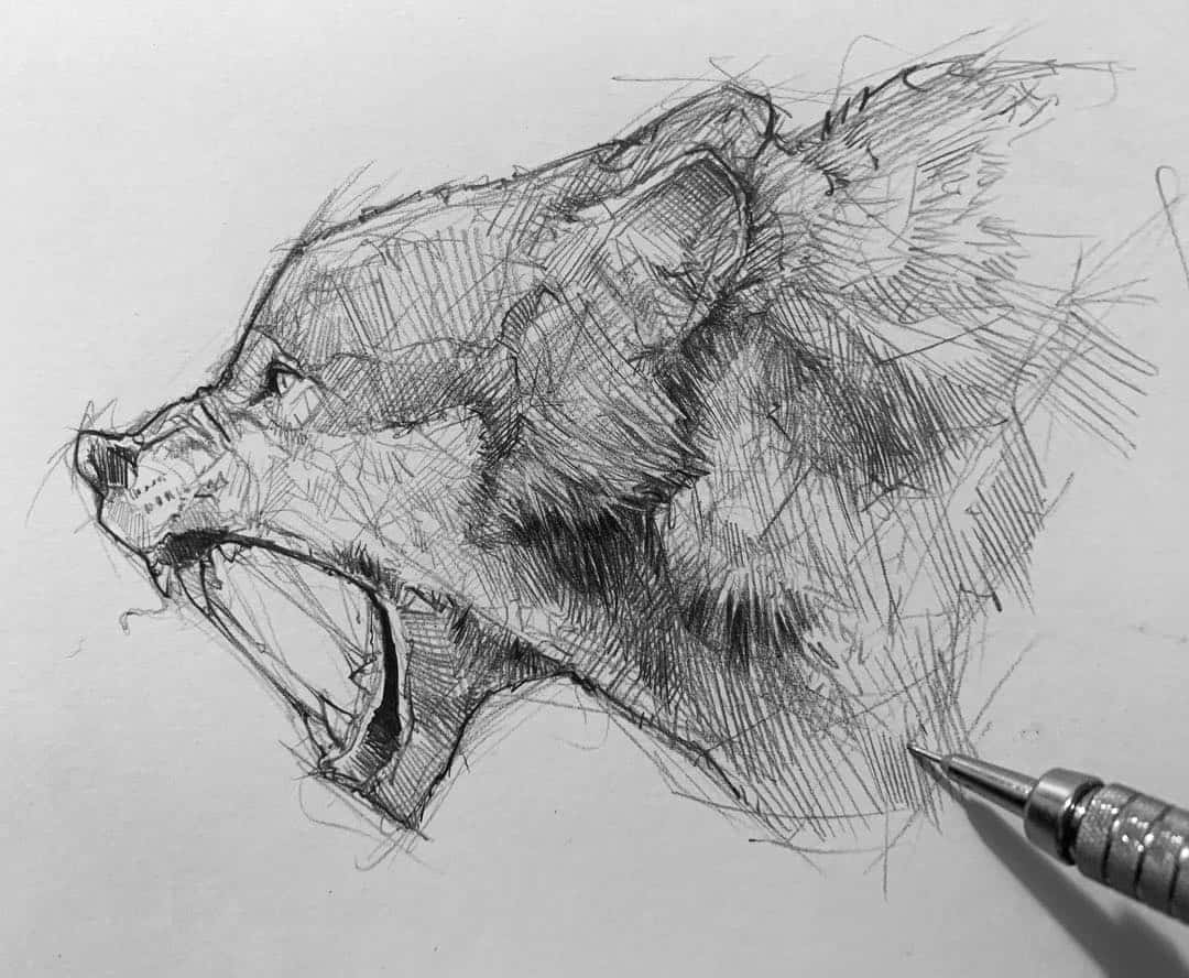 Angry Wolf Drawing by Jaiteg Singh - Fine Art America