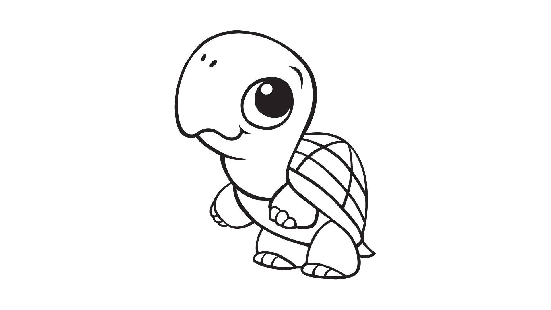Sketch Cartoon Turtle Wallpaper