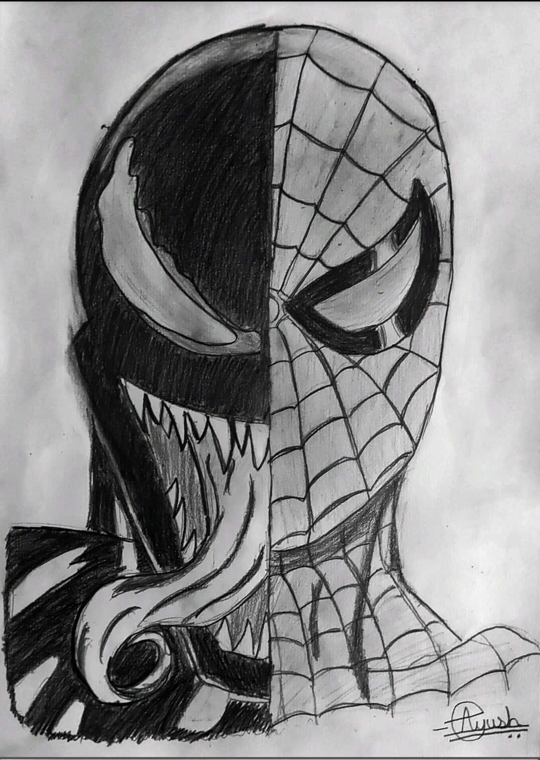 Venom Vs Spiderman Sketch Pictures