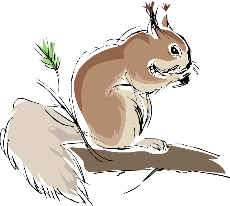 Sketch_of_ Squirrel_on_ Branch.png PNG