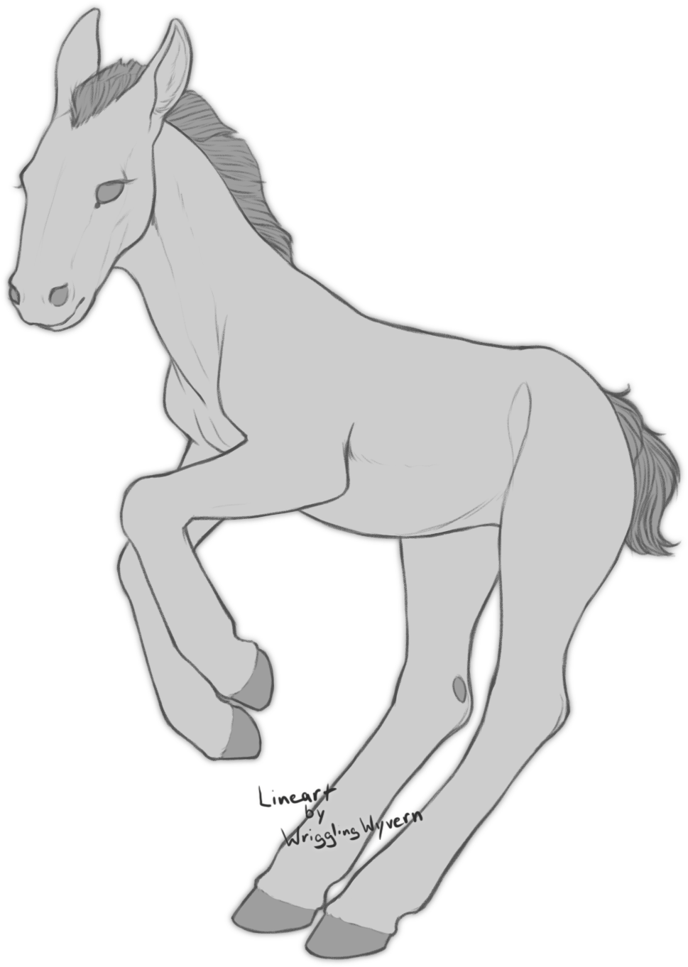 Sketch_of_ Young_ Horse_ Foal PNG