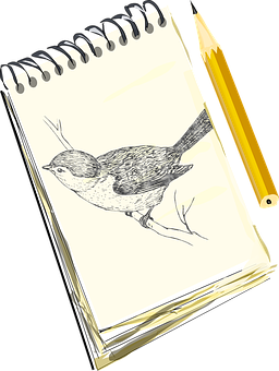 Sketchbook Bird Drawingand Pencil PNG