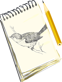 Download Sketchbook Bird Drawingand Pencil | Wallpapers.com