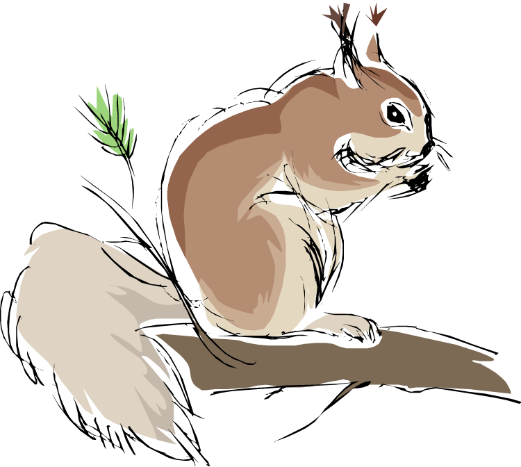 Sketchy Squirrelon Branch PNG