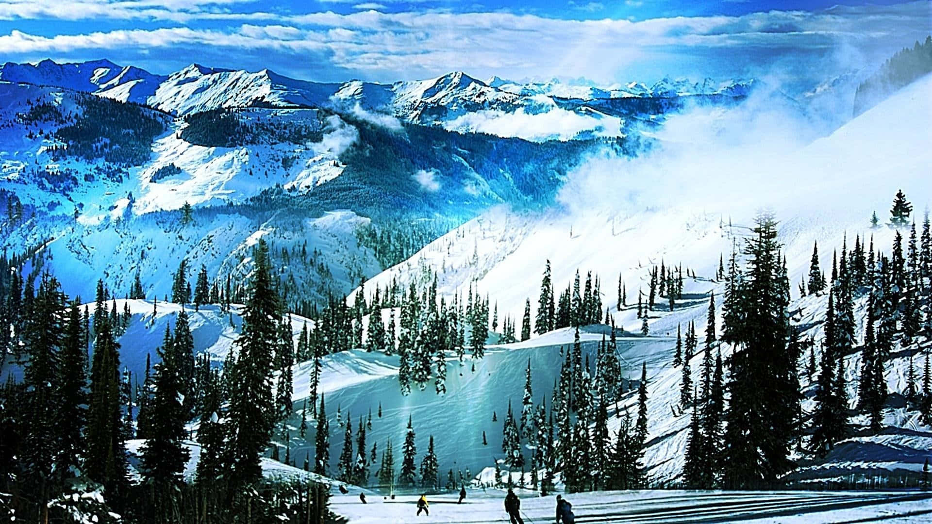 Montañade Esquí Con Árboles De Pino Fondo de pantalla