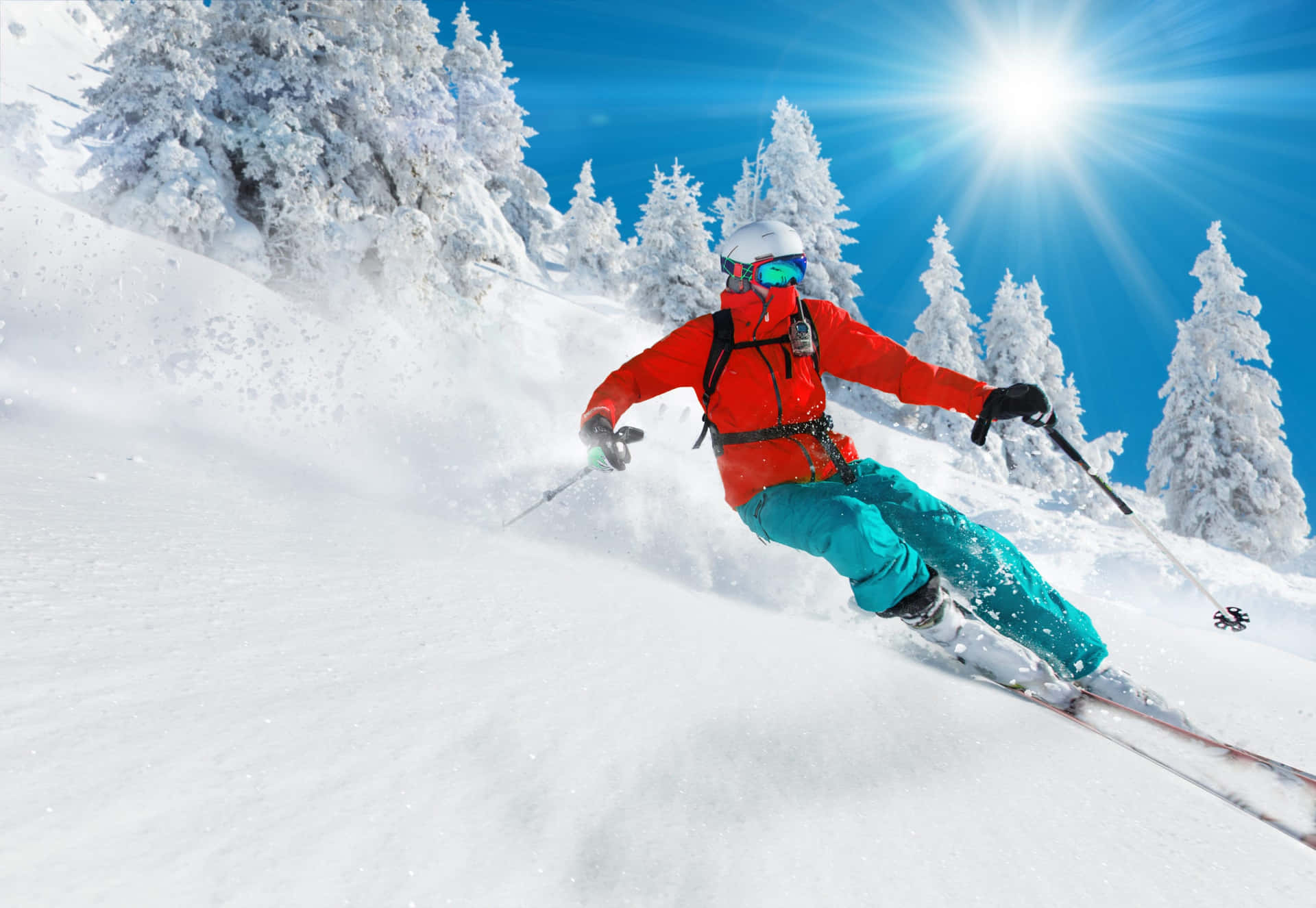 Ski down the snowy mountain and make the most of winter!