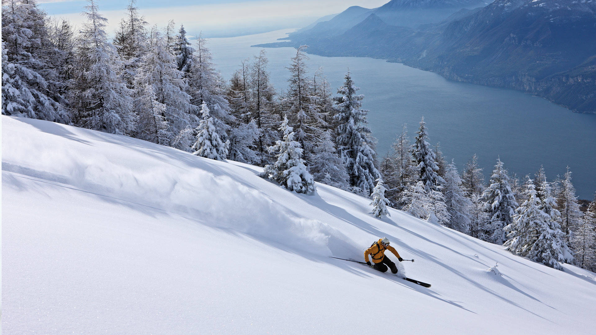 Esquiandoentre Los Abetos Congelados. Fondo de pantalla