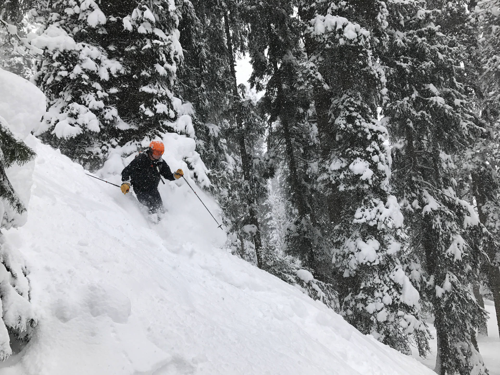 Skifahrenam Schneehügel Wallpaper