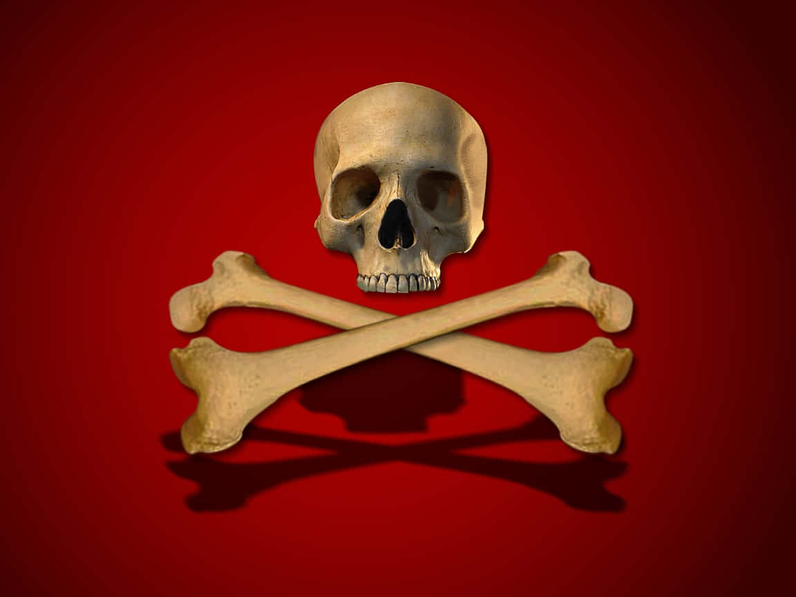 "This Skull and Crossbones is a warning to all those who dare to enter!" Wallpaper