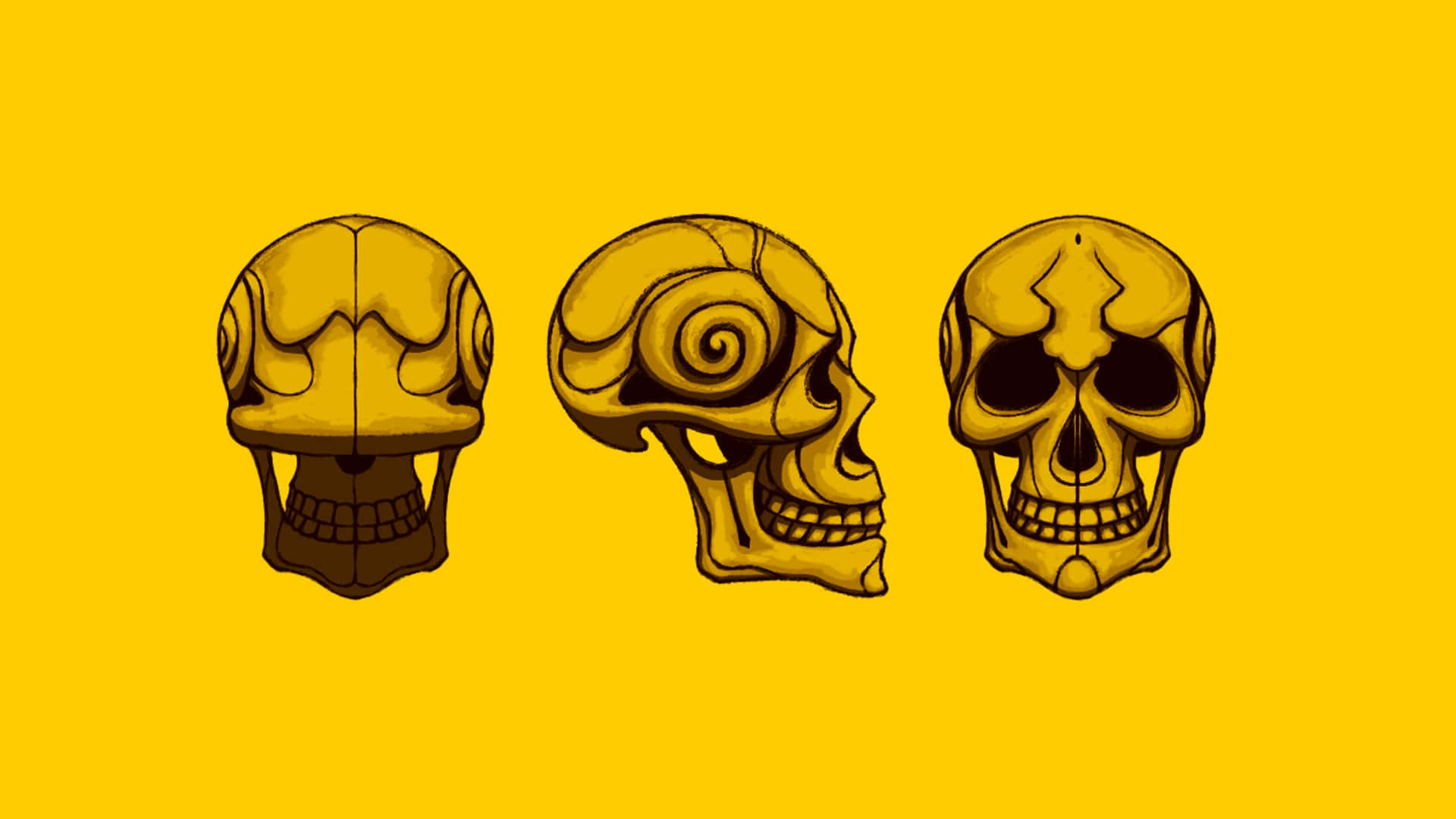 Skull Background