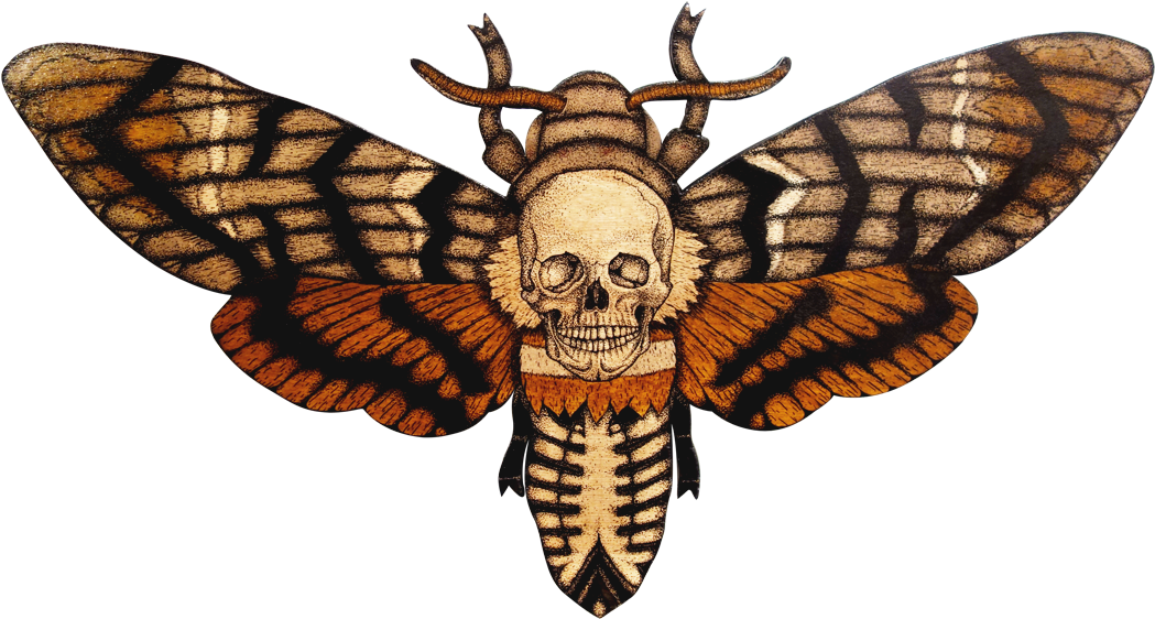 Skull Moth Illustration.png PNG