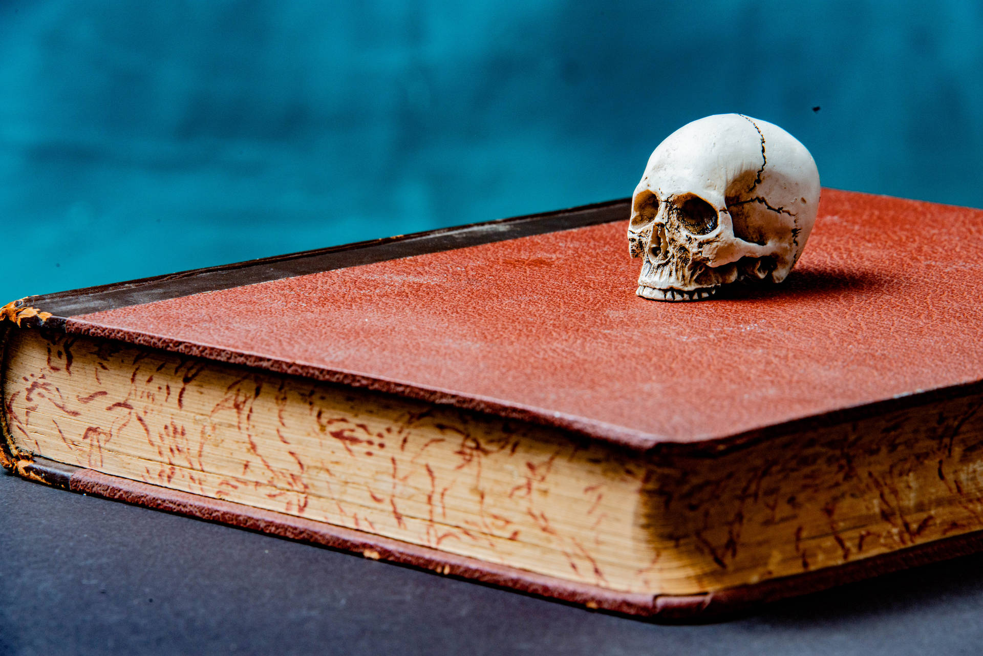 Skull On A Book Halloween Computer