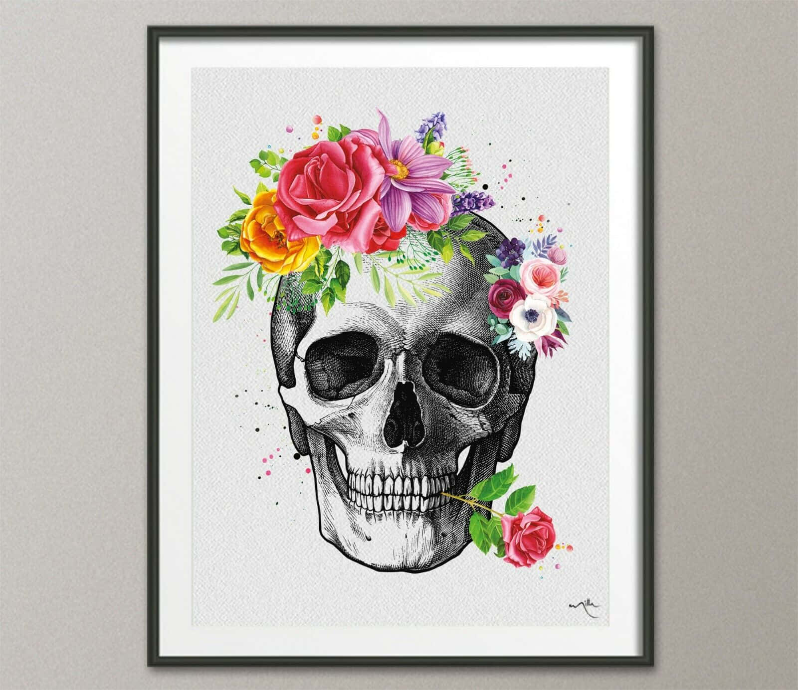 Skull Pictures
