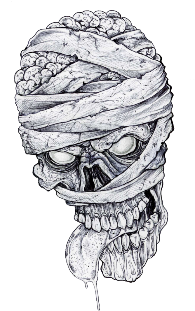 Skull_ Wrapped_in_ Barbed_ Wire_ Drawing PNG