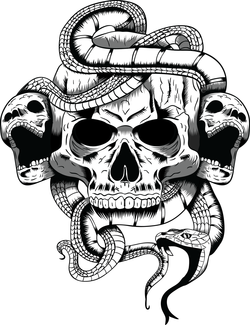 Skull_and_ Snakes_ Vector_ Art PNG