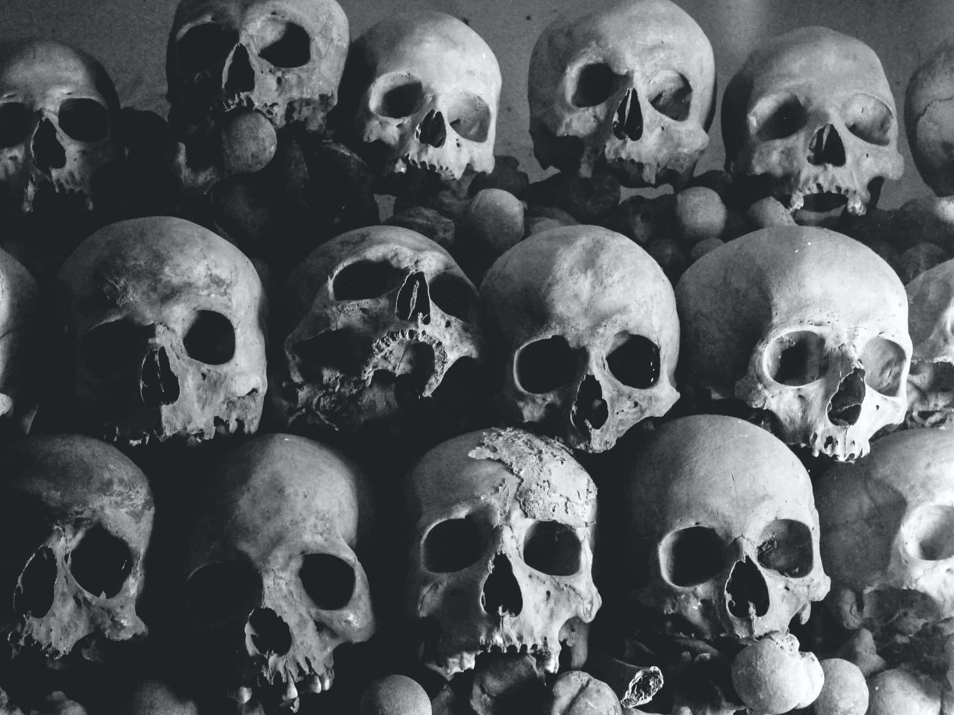 A Mysterious Assembly of Skulls