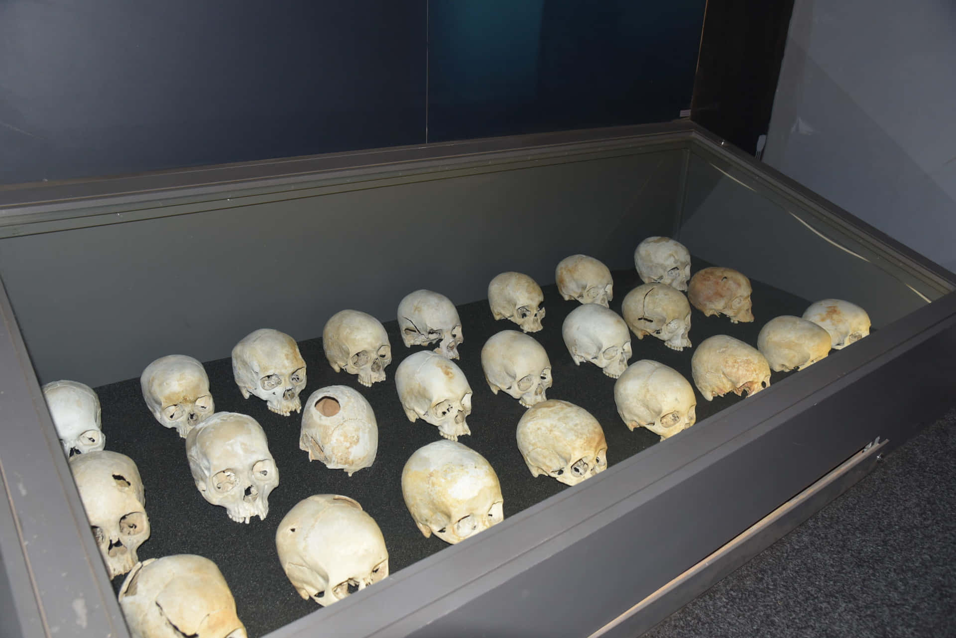 Skulls At Kigali Genocide Memorial Wallpaper