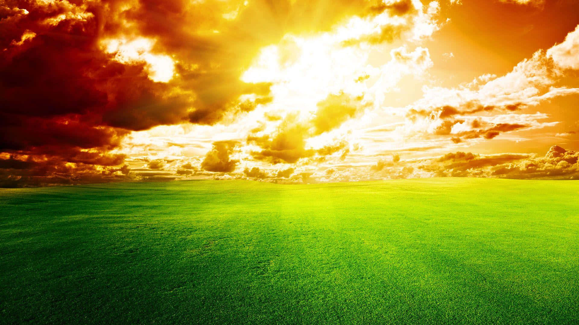 Sky Background Vast Green Field